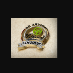 akautomaticdrivingschool