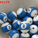 zka01667